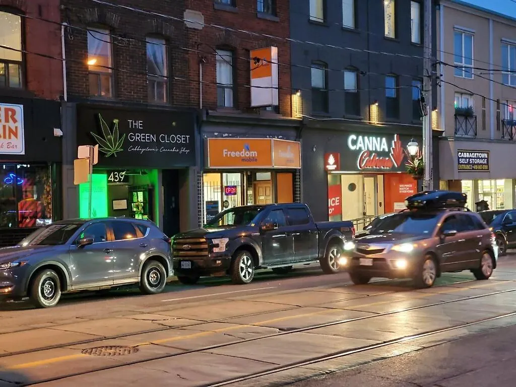 Cozy Private Room In Downtown Toronto, 15 Mins To Cn Tower, Steps To Subway Homestay